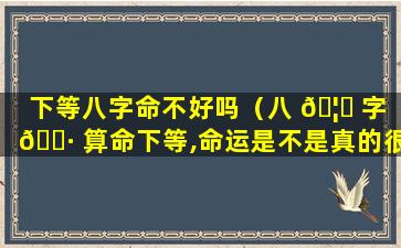 下等八字命不好吗（八 🦈 字 🕷 算命下等,命运是不是真的很差）